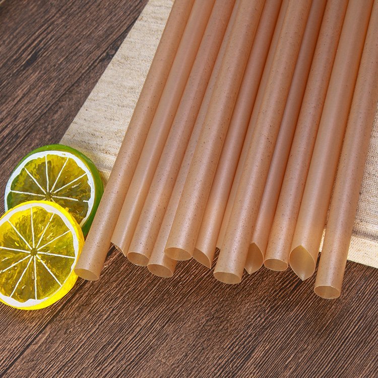 Biodegradable Natural Bagsasse Sugar Cane Straws - Image 2